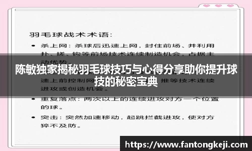 陈敏独家揭秘羽毛球技巧与心得分享助你提升球技的秘密宝典