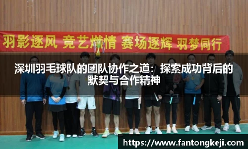 深圳羽毛球队的团队协作之道：探索成功背后的默契与合作精神