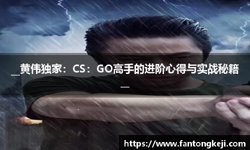 __黄伟独家：CS：GO高手的进阶心得与实战秘籍__