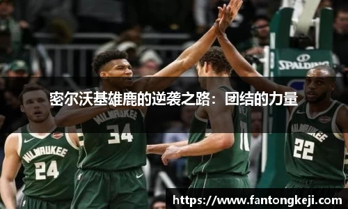 密尔沃基雄鹿的逆袭之路：团结的力量