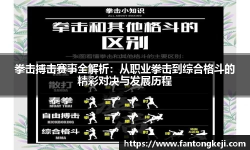 拳击搏击赛事全解析：从职业拳击到综合格斗的精彩对决与发展历程