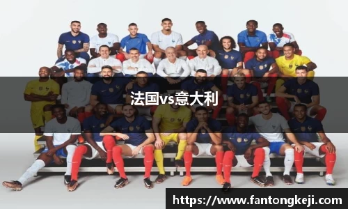 法国vs意大利
