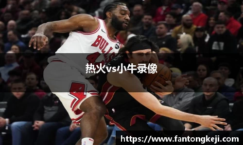 热火vs小牛录像