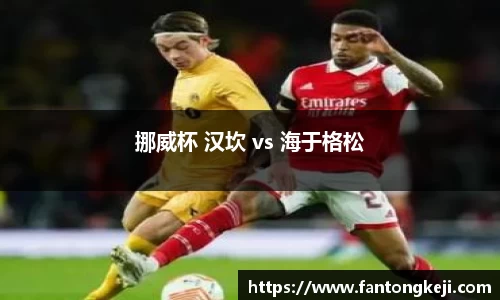 挪威杯 汉坎 vs 海于格松