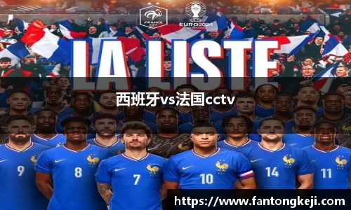 西班牙vs法国cctv