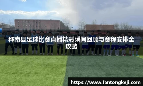 桦南县足球比赛直播精彩瞬间回顾与赛程安排全攻略