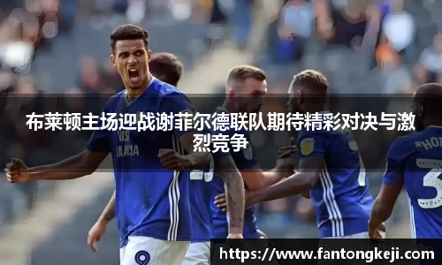 布莱顿主场迎战谢菲尔德联队期待精彩对决与激烈竞争